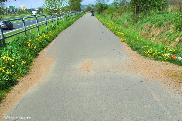 kto-posprzata-zabocona-droge-rowerowa-foto-63176