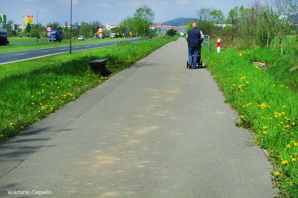 kto-posprzata-zabocona-droge-rowerowa-foto-63176
