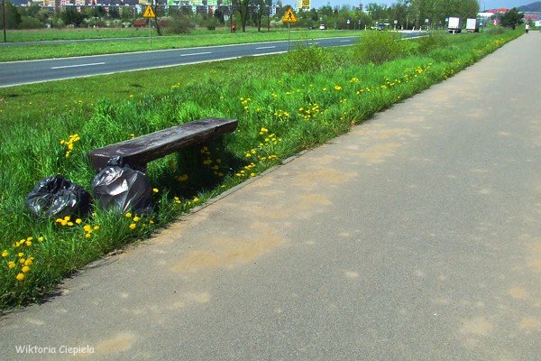 kto-posprzata-zabocona-droge-rowerowa-foto-63176