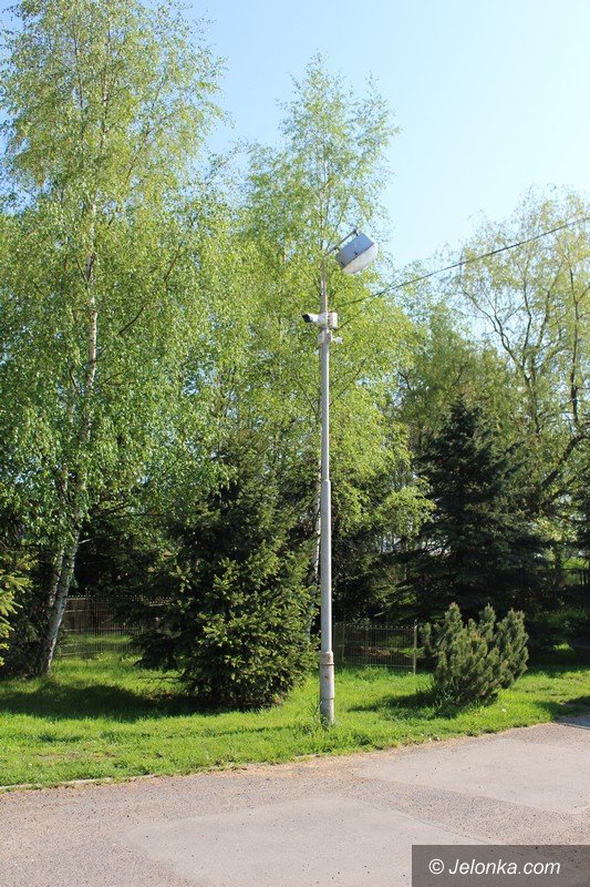mezczyzna-porzuci-zwoki-psa-widziaa-to-kamera-foto-video-63180