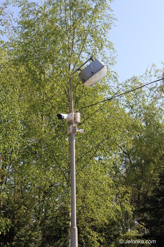mezczyzna-porzuci-zwoki-psa-widziaa-to-kamera-foto-video-63180