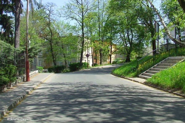 potrzebne-przejscie-przy-muzeum-karkonoskim-foto-63201
