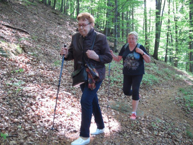 zapisz-sie-na-wycieczke-z-klubem-seniora-modzi-duchem-foto-63262
