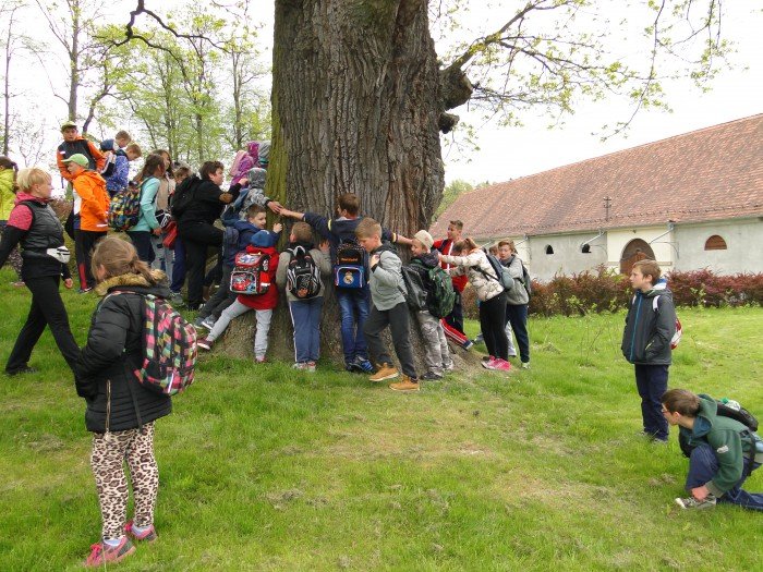 warsztaty-przyrodnicze-w-bukowcu-foto-63307