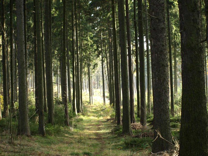 poaczeni-mioscia-do-pasji-foto-63327