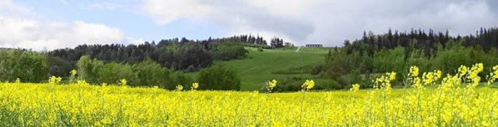 poaczeni-mioscia-do-pasji-foto-63327