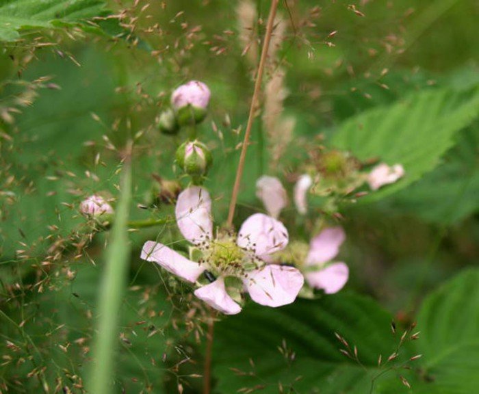 poaczeni-mioscia-do-pasji-foto-63327