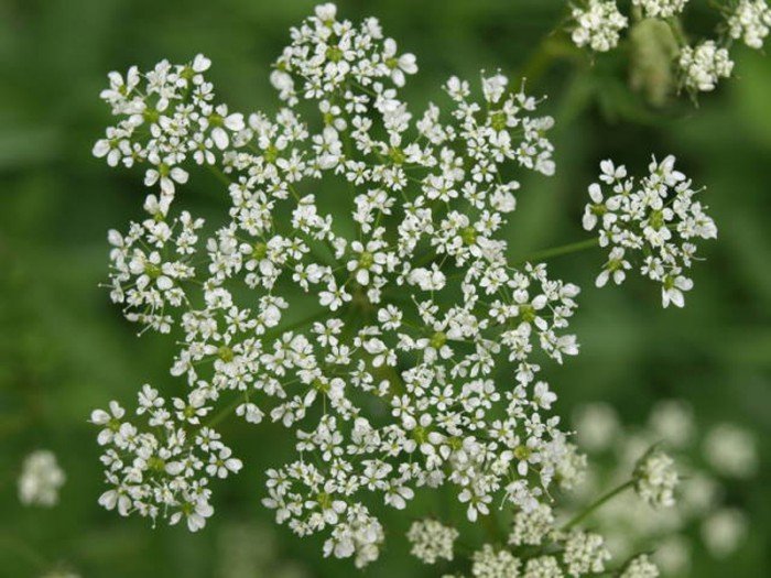 poaczeni-mioscia-do-pasji-foto-63327