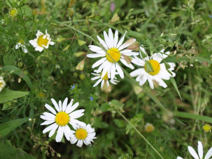 poaczeni-mioscia-do-pasji-foto-63327