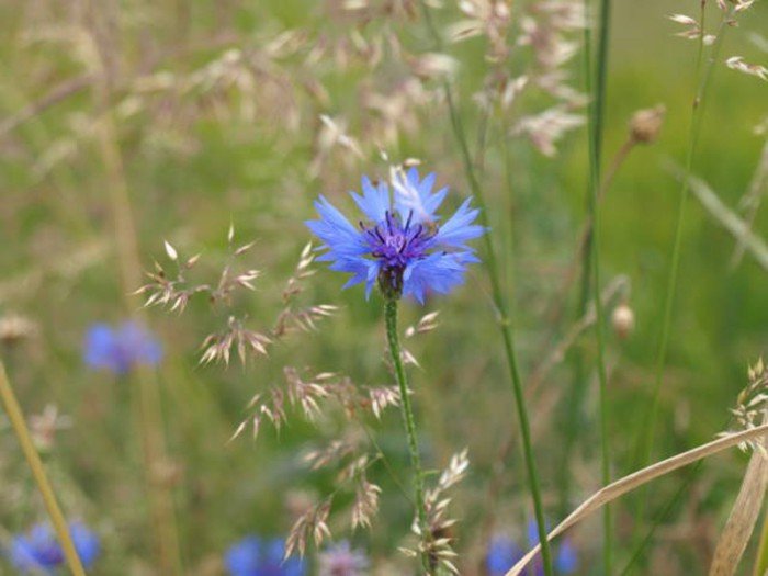 poaczeni-mioscia-do-pasji-foto-63327