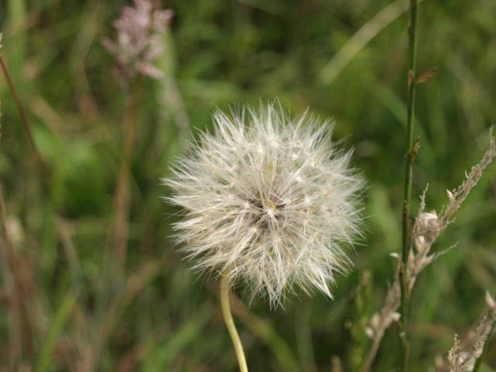 poaczeni-mioscia-do-pasji-foto-63327
