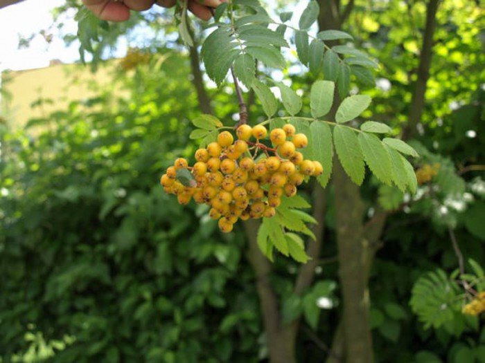 poaczeni-mioscia-do-pasji-foto-63327