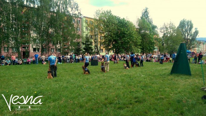 wspaniay-piknik-z-przesaniem-na-orlim-foto-63345
