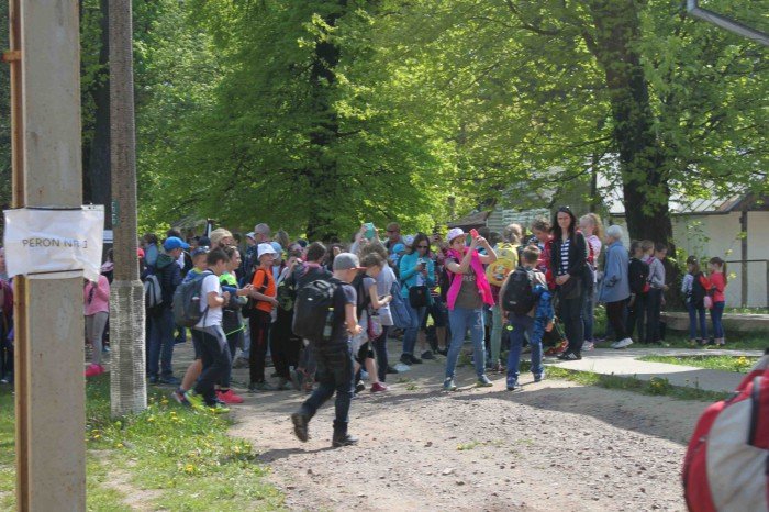 krolewski-podboj-szwajcarki-i-kwiaty-foto-63346