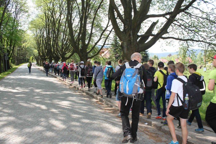 krolewski-podboj-szwajcarki-i-kwiaty-foto-63346