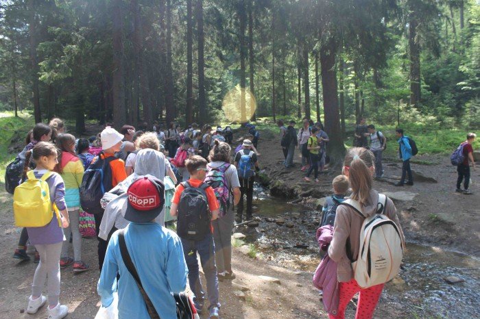 krolewski-podboj-szwajcarki-i-kwiaty-foto-63346
