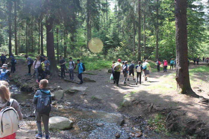krolewski-podboj-szwajcarki-i-kwiaty-foto-63346