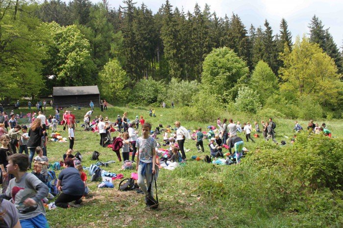 krolewski-podboj-szwajcarki-i-kwiaty-foto-63346