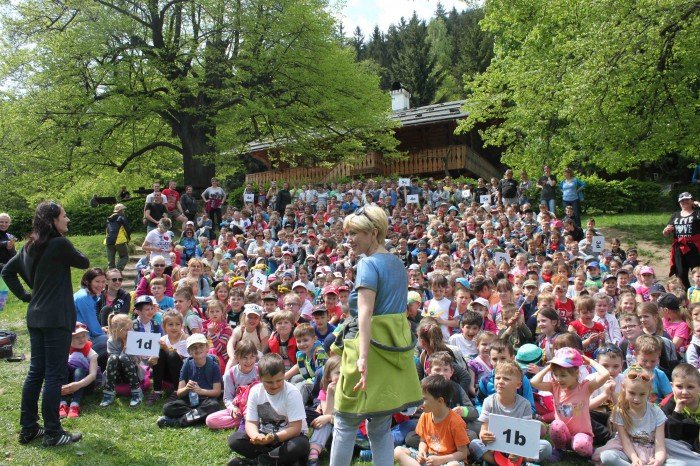 krolewski-podboj-szwajcarki-i-kwiaty-foto-63346