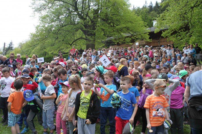 krolewski-podboj-szwajcarki-i-kwiaty-foto-63346