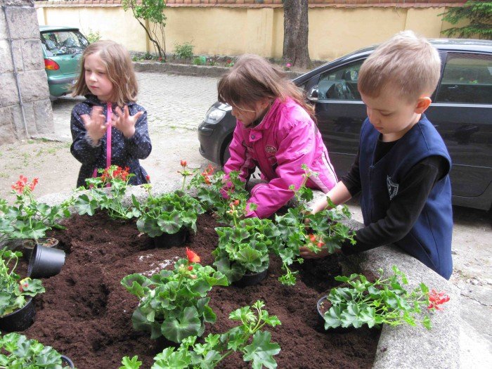 krolewski-podboj-szwajcarki-i-kwiaty-foto-63346
