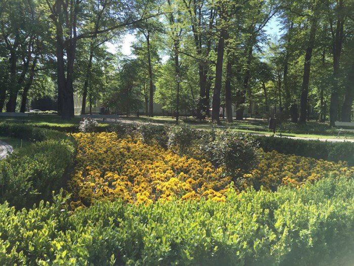 czytelniczka-park-zdrojowy-do-poprawki-foto-63404