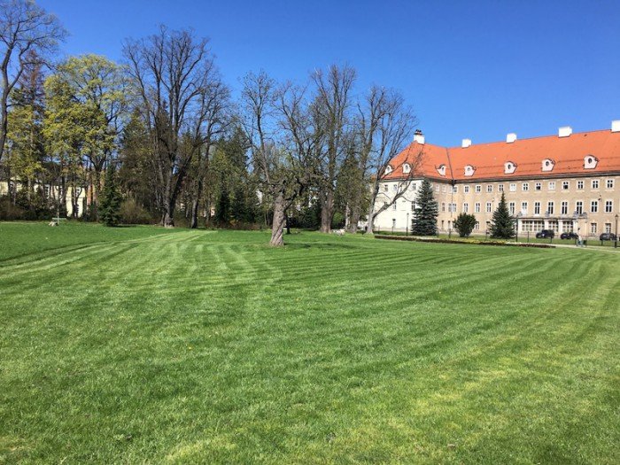 czytelniczka-park-zdrojowy-do-poprawki-foto-63404