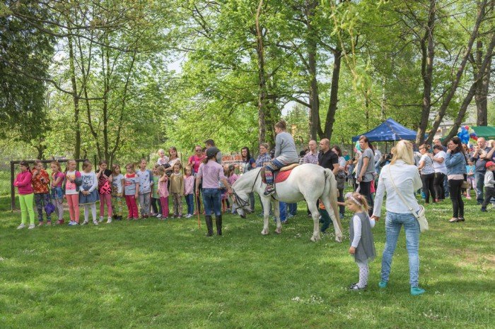po-wielkim-festynie-w-przedszkolu-w-mysakowicach-foto-63419