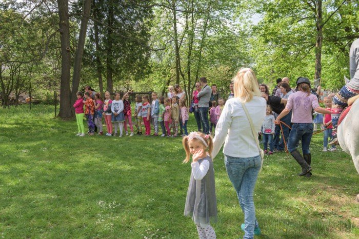 po-wielkim-festynie-w-przedszkolu-w-mysakowicach-foto-63419