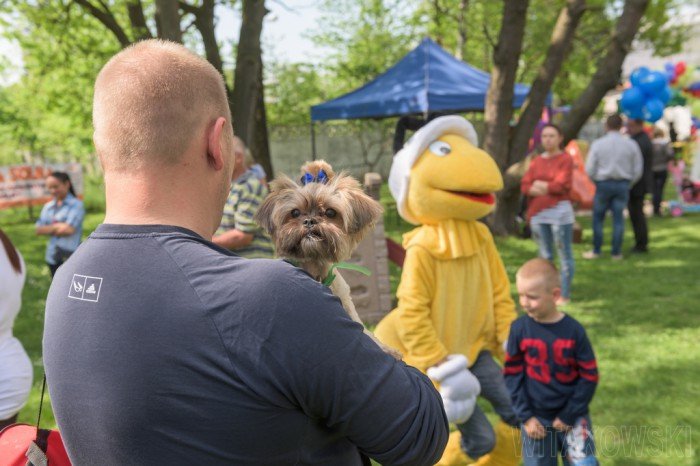po-wielkim-festynie-w-przedszkolu-w-mysakowicach-foto-63419