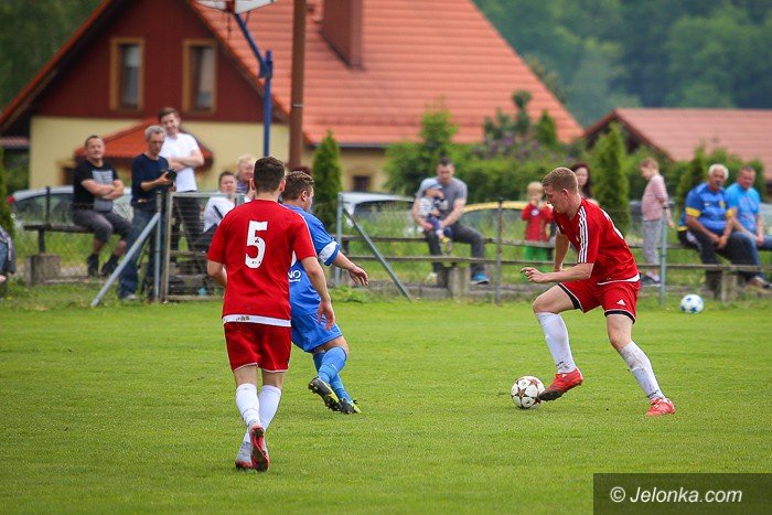 soko-lepszy-od-lotnika-foto-63422