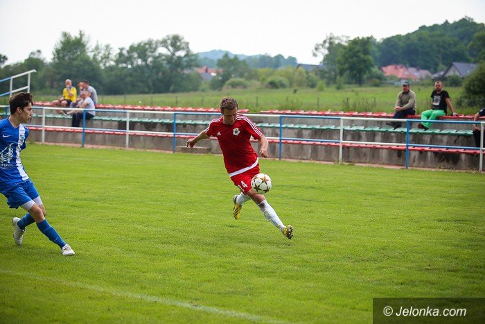 soko-lepszy-od-lotnika-foto-63422