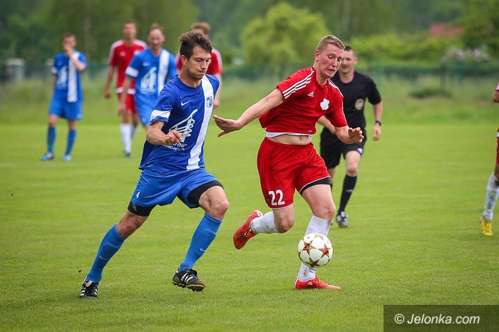 soko-lepszy-od-lotnika-foto-63422