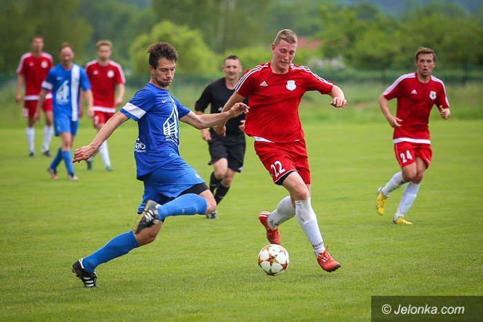 soko-lepszy-od-lotnika-foto-63422