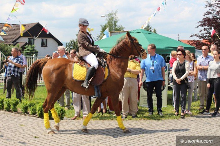wielki-festyn-ku-czci-matek-foto-63446