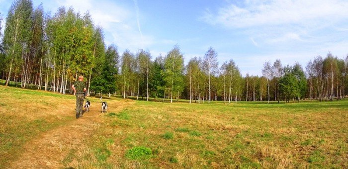 na-zabobrzu-bedzie-park-dla-psow-foto-63472