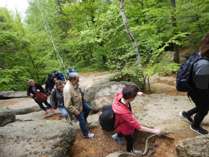 miedzynarodowa-wspopraca-szko-artystycznych-foto-63476
