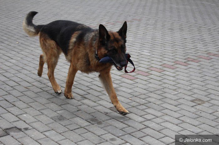 goprowcy-zaprosili-dzieci-foto-63494