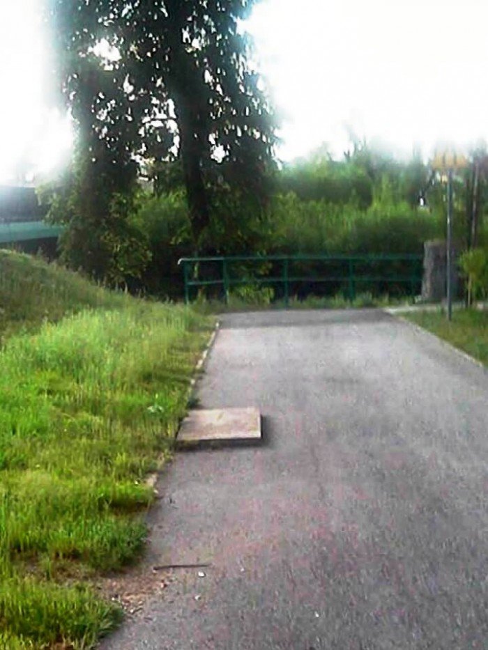 po-zamanej-wierzbie-zosta-baagan-foto-63509