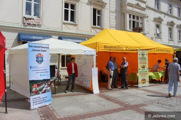 wybrali-zdrowie-i-swietnie-sie-bawili-foto-63542