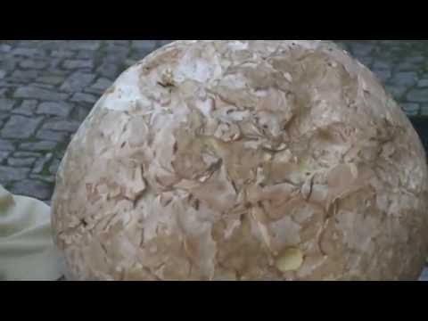 niecodzienne-znalezisko-video-63597