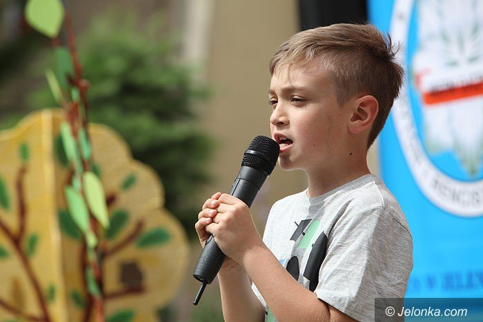 wiele-sie-dziao-na-festynie-w-dwojce-foto-63628