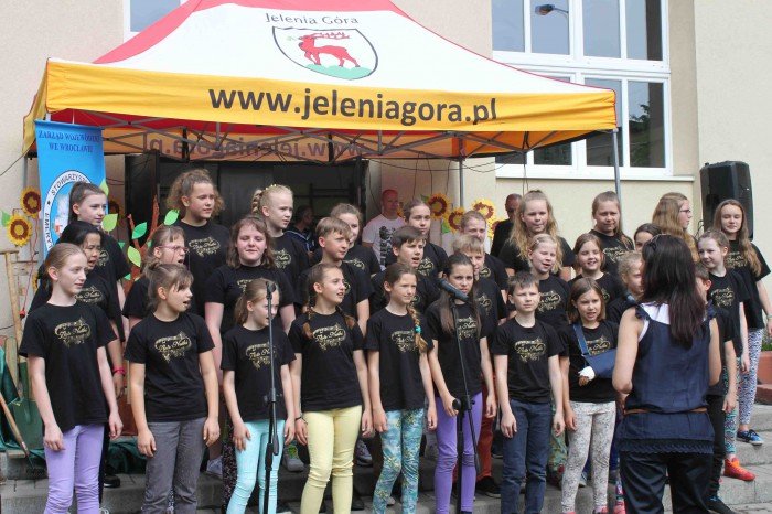 wiele-sie-dziao-na-festynie-w-dwojce-foto-63628