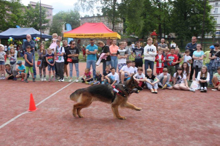 wiele-sie-dziao-na-festynie-w-dwojce-foto-63628
