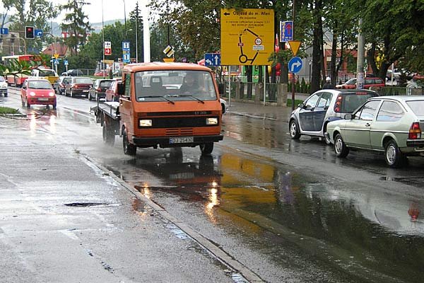 wilcze-doy-w-asfalcie-6367