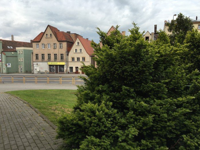 w-jeleniej-gorze-kolorowo-i-pachnaco-foto-63682