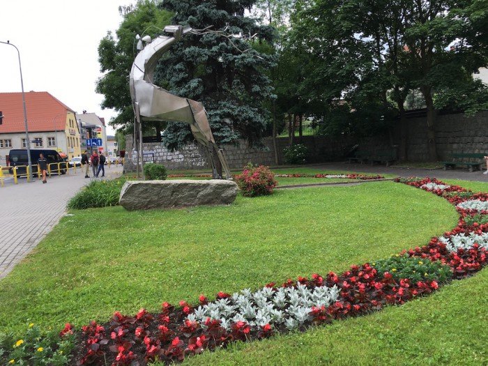 w-jeleniej-gorze-kolorowo-i-pachnaco-foto-63682