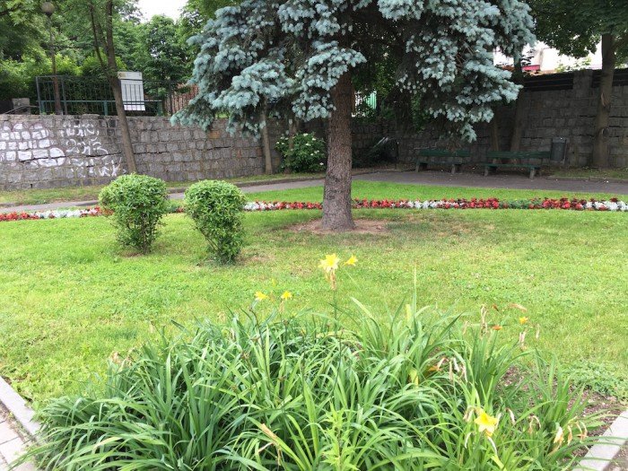 w-jeleniej-gorze-kolorowo-i-pachnaco-foto-63682
