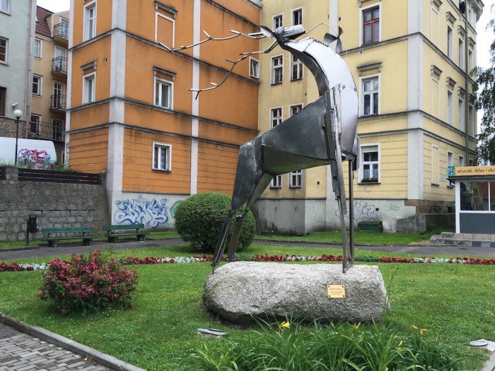 w-jeleniej-gorze-kolorowo-i-pachnaco-foto-63682
