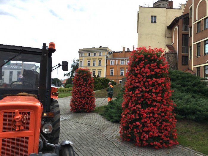 podlewanie-od-rana-do-wieczora-foto-63722